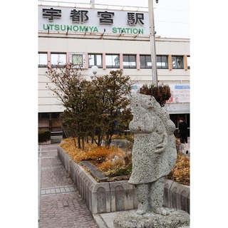 メグ