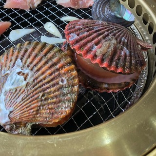 志保先生