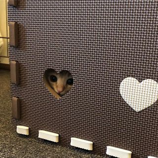 まいんぼ