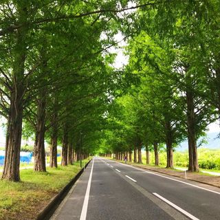 結城