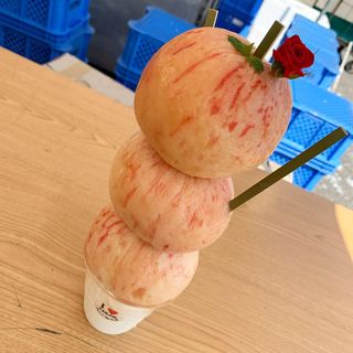 塔子