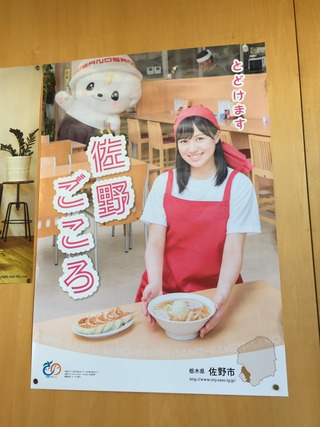 知莉