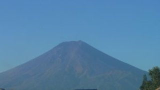 なつめ