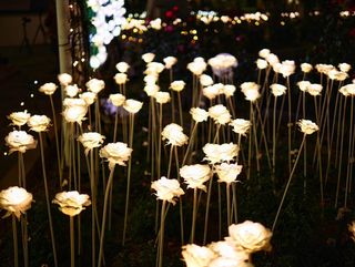 セフレ掲示板【広島県でセフレ募集するなら】  |  セフレ掲示板【セックス募集】