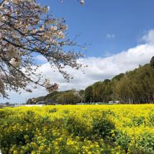 セフレ掲示板【千葉県でセフレ募集するなら】  |  セフレ掲示板【セックス募集】