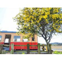 人妻・熟女出会い掲示板【地域別】 – 人妻熟女の割り切りな出会いを求めているあなたに。