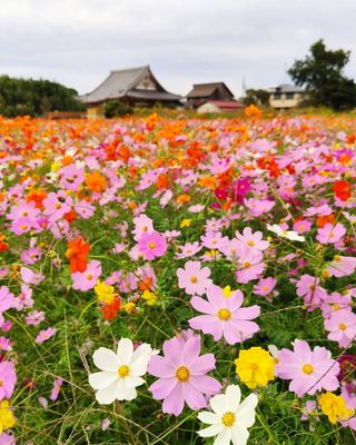 セフレ掲示板【埼玉県でセフレ募集するなら】  |  セフレ掲示板【セックス募集】