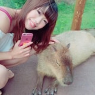 秋田県の神待ち家出少女掲示板 – 【神待ち掲示板】家出少女・女性検索サイト