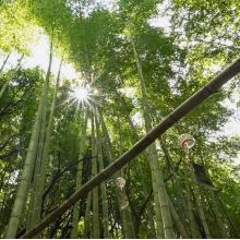 三重県の神待ち家出少女掲示板 – 【神待ち掲示板】家出少女・女性検索サイト