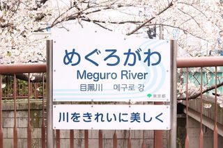 東京都の神待ち家出少女掲示板 – 【神待ち掲示板】家出少女・女性検索サイト