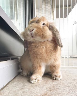 青森県の神待ち家出少女掲示板 – 【神待ち掲示板】家出少女・女性検索サイト