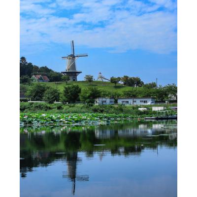 セフレ掲示板【宮城県でセフレ募集するなら】  |  セフレ掲示板【セックス募集】