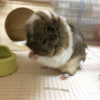 LOVE NAVI【最短即会い】