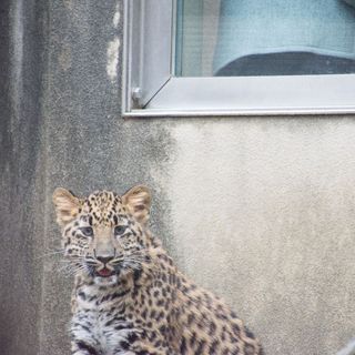 セフレ掲示板【兵庫県でセフレ募集するなら】  |  セフレ掲示板【セックス募集】