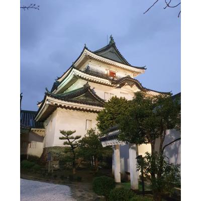 和歌山県の神待ち家出少女掲示板 – 【神待ち掲示板】家出少女・女性検索サイト