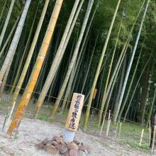 人妻・熟女出会い掲示板【地域別】 – 人妻熟女の割り切りな出会いを求めているあなたに。