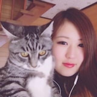 セフレ掲示板【鹿児島県】  |  セフレ掲示板【セックス募集】