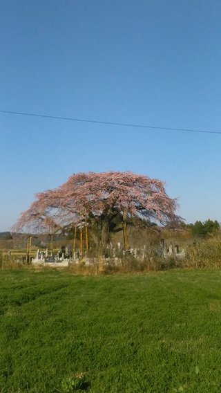 福島県の神待ち家出少女掲示板 – 【神待ち掲示板】家出少女・女性検索サイト