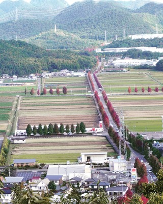 岐阜県の神待ち家出少女掲示板 – 【神待ち掲示板】家出少女・女性検索サイト