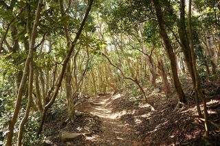 セフレ掲示板【福岡県でセフレ募集するなら】  |  セフレ掲示板【セックス募集】