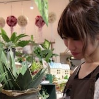 秋田県の神待ち家出少女掲示板 – 【神待ち掲示板】家出少女・女性検索サイト