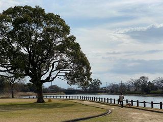 熊本県の神待ち家出少女掲示板 – 【神待ち掲示板】家出少女・女性検索サイト