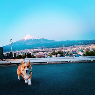 静岡県の神待ち家出少女掲示板 – 【神待ち掲示板】家出少女・女性検索サイト