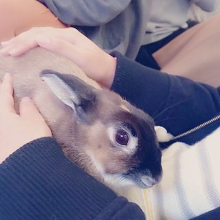 神奈川県の神待ち家出少女掲示板 – 【神待ち掲示板】家出少女・女性検索サイト