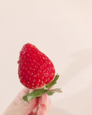 LOVE NAVI【最短即会い】