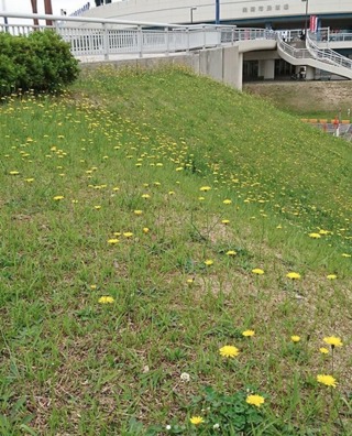 愛知県の神待ち家出少女掲示板 – 【神待ち掲示板】家出少女・女性検索サイト