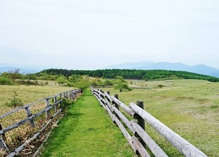 長野県の神待ち家出少女掲示板 – 【神待ち掲示板】家出少女・女性検索サイト