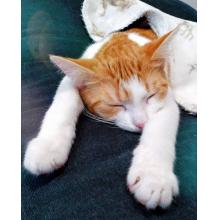 【神待ち掲示板】家出少女・女性検索サイト – 神待ちをする女性・利用するサイトを地域別に紹介しています