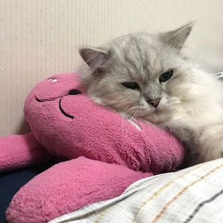 LOVE NAVI【最短即会い】