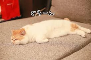 LOVE NAVI【最短即会い】