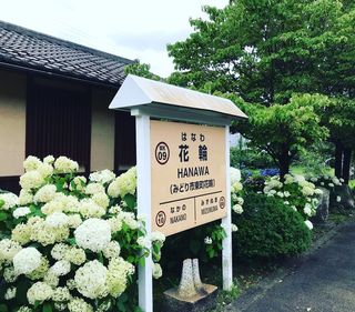 セフレ掲示板【群馬県でセフレ募集するなら】  |  セフレ掲示板【セックス募集】