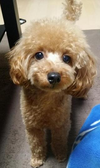 セフレ掲示板【セックス募集】  |  各地でセフレ募集している女性をご紹介しているサイトです。久しくセックスをしていない人やセフレをどんどん増やしたい人はぜひこちらで探して下さい。