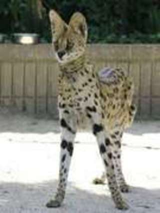 和歌山県の神待ち家出少女掲示板 – 【神待ち掲示板】家出少女・女性検索サイト