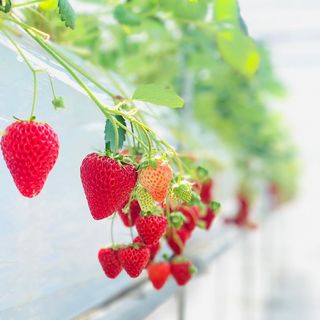 山梨県の神待ち家出少女掲示板 – 【神待ち掲示板】家出少女・女性検索サイト