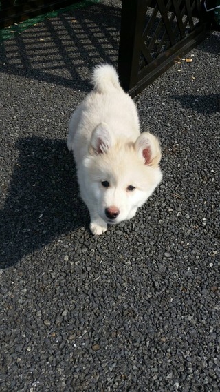 セフレ掲示板【セックス募集】  |  各地でセフレ募集している女性をご紹介しているサイトです。久しくセックスをしていない人やセフレをどんどん増やしたい人はぜひこちらで探して下さい。