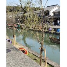 人妻・熟女出会い掲示板【地域別】 – 人妻熟女の割り切りな出会いを求めているあなたに。