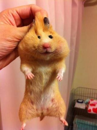 セフレ掲示板【セックス募集】  |  各地でセフレ募集している女性をご紹介しているサイトです。久しくセックスをしていない人やセフレをどんどん増やしたい人はぜひこちらで探して下さい。