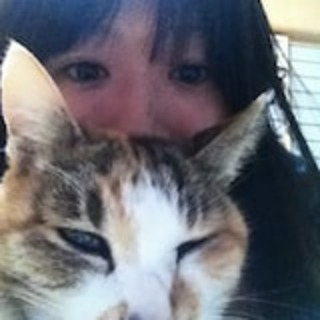 セフレ掲示板【セックス募集】  |  各地でセフレ募集している女性をご紹介しているサイトです。久しくセックスをしていない人やセフレをどんどん増やしたい人はぜひこちらで探して下さい。