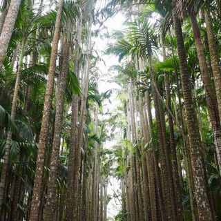 沖縄県の神待ち家出少女掲示板 – 【神待ち掲示板】家出少女・女性検索サイト