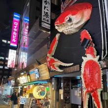 sexsefurebbs  |  セフレ掲示板【セックス募集】