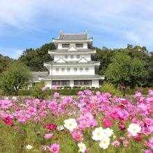 福島県の神待ち家出少女掲示板 – 【神待ち掲示板】家出少女・女性検索サイト