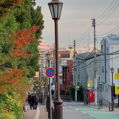 セフレ掲示板【兵庫県でセフレ募集するなら】  |  セフレ掲示板【セックス募集】