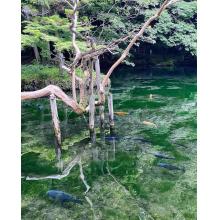 セフレ掲示板【栃木県でセフレ募集するなら】  |  セフレ掲示板【セックス募集】