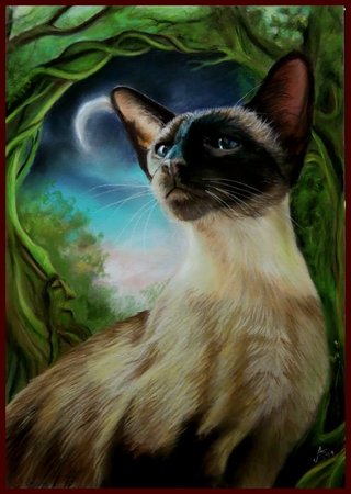 【神待ち掲示板】家出少女・女性検索サイト – 神待ちをする女性・利用するサイトを地域別に紹介しています