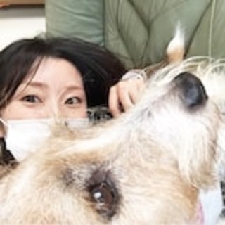 秋田県の神待ち家出少女掲示板 – 【神待ち掲示板】家出少女・女性検索サイト