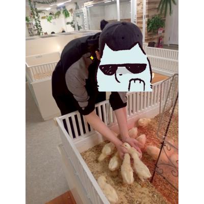 埼玉県の神待ち家出少女掲示板 – 【神待ち掲示板】家出少女・女性検索サイト